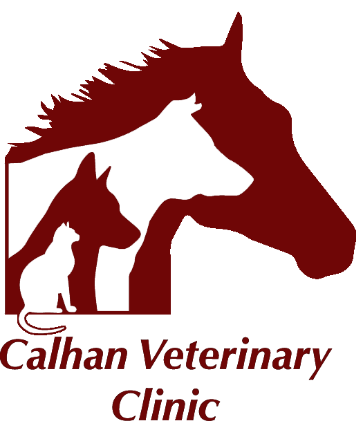 Calhan Veterinary Clinic