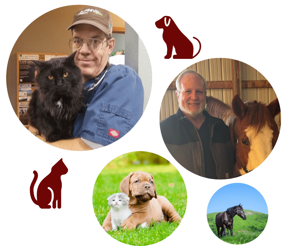 Home page banner image A colorful collage displaying a variety of people and animals