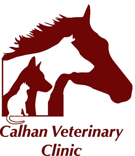 Calhan Veterinary Clinic